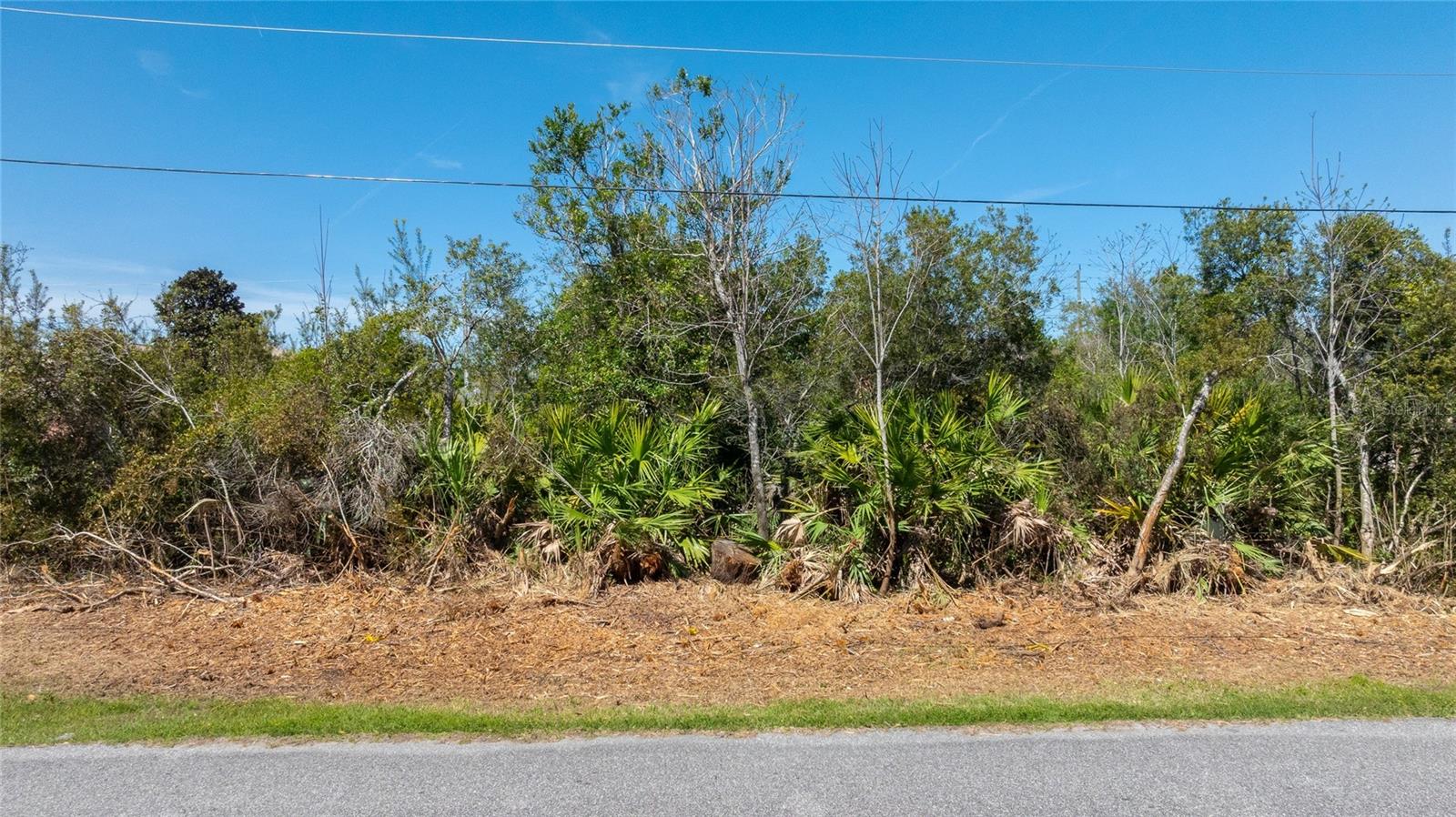 Image 10 of 10 For 47 Louisiana Dr