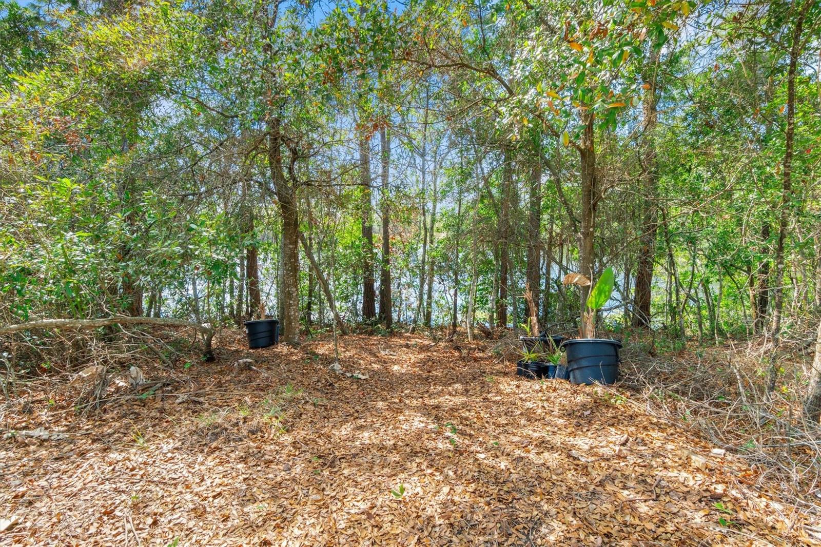 Image 42 of 64 For 13 Willow Street