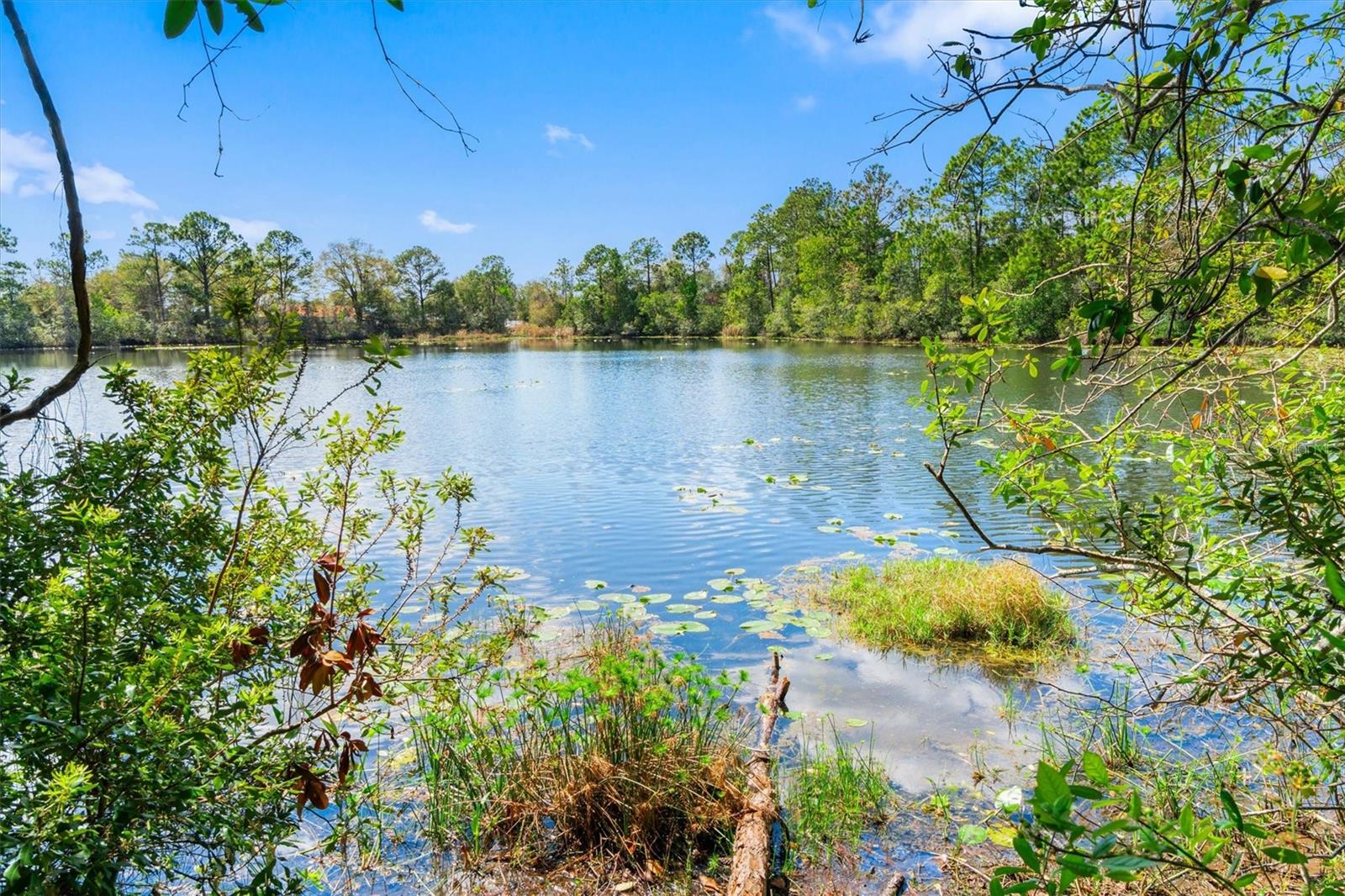 Image 43 of 64 For 13 Willow Street