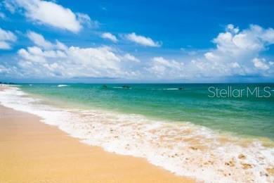 Image 30 of 37 For 19 Mahoe Drive N