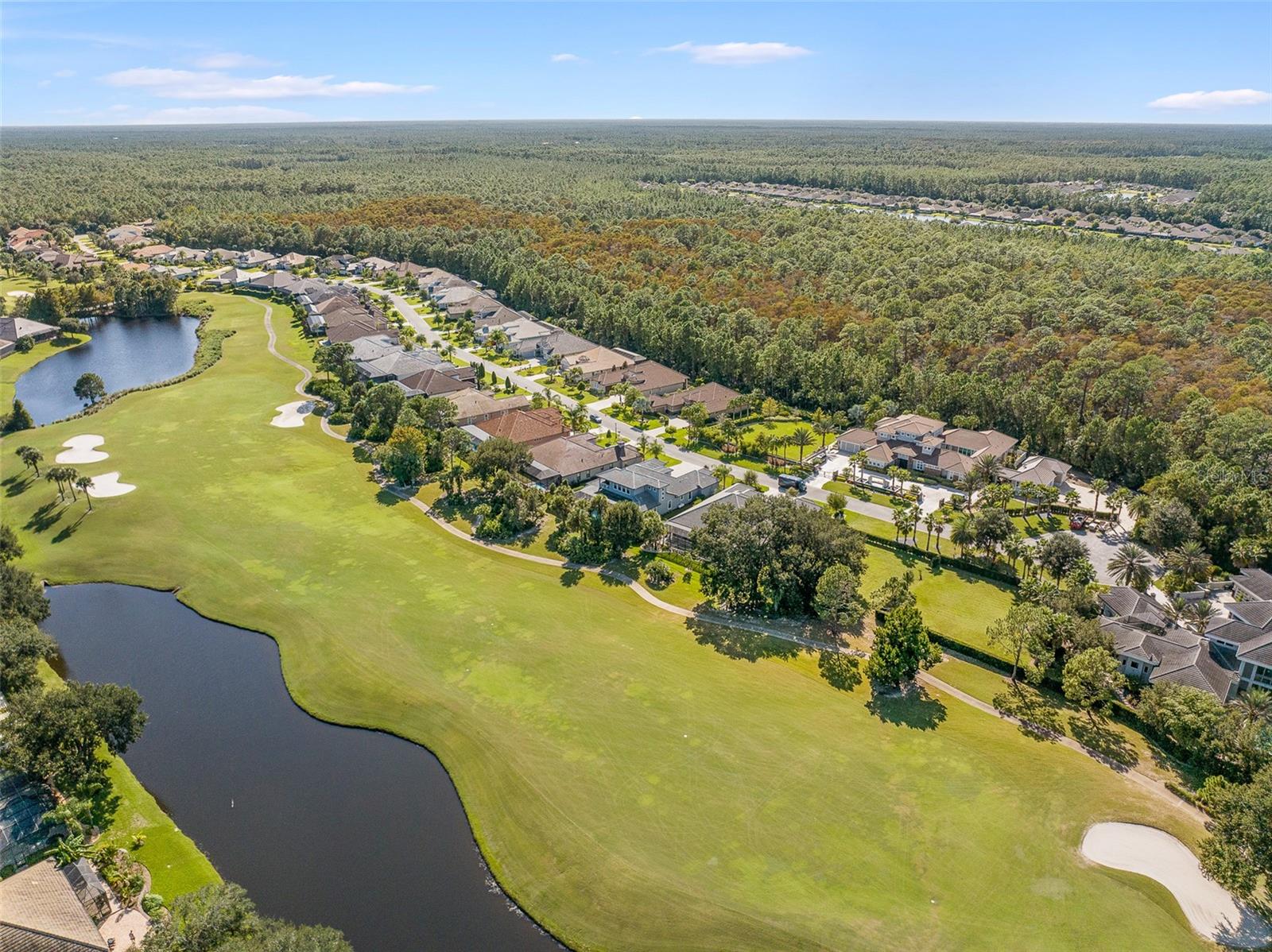 Image 69 of 86 For 534 Wingspan Drive