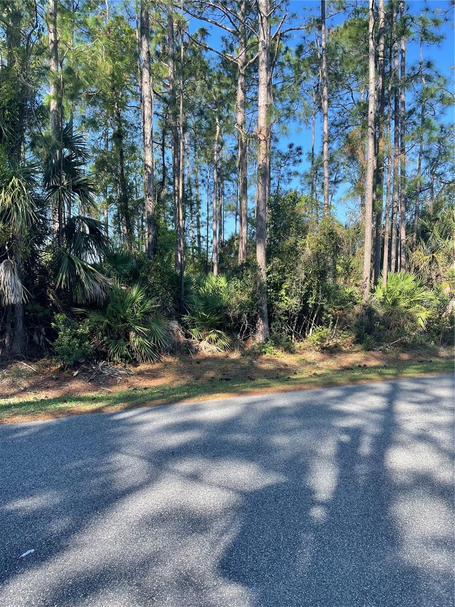 Details for 69 Lindsay Drive, PALM COAST, FL 32137