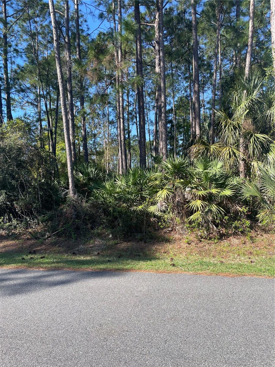 Image 2 of 8 For 69 Lindsay Drive