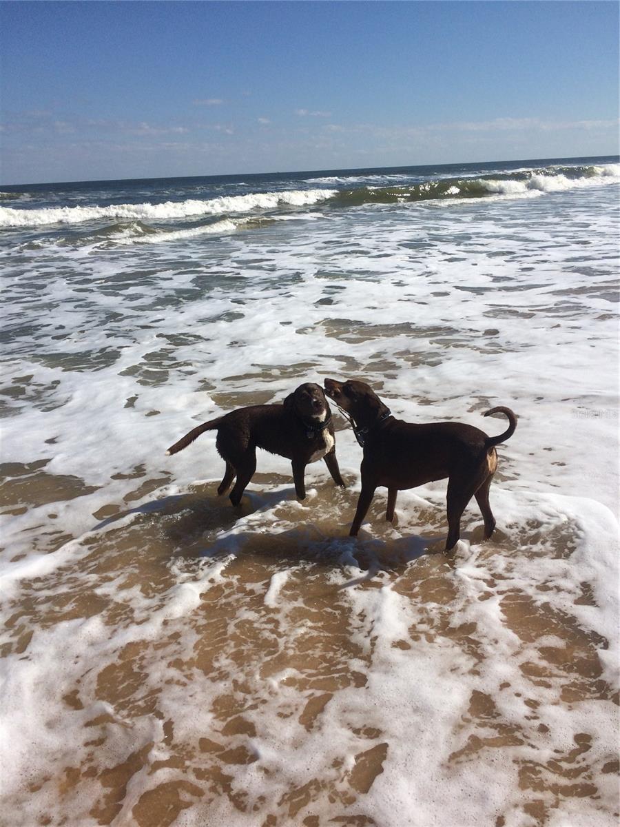 Image 40 of 51 For 59 Ocean Street