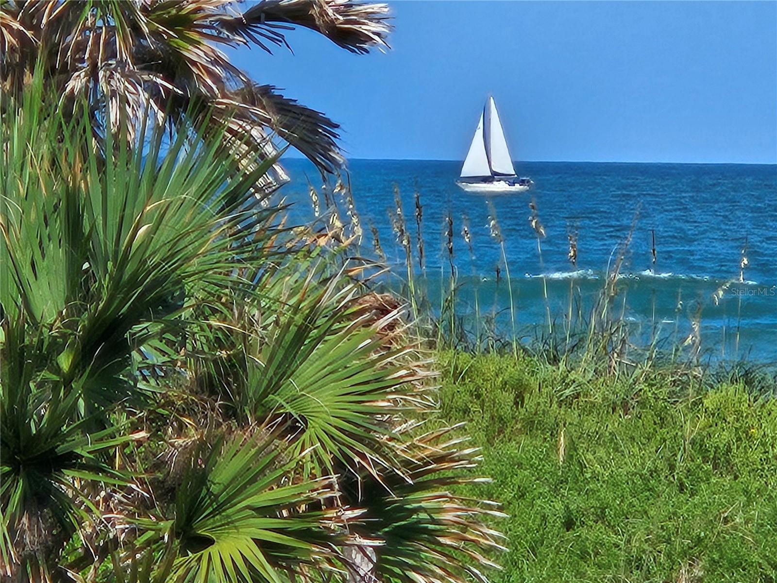 Image 41 of 51 For 59 Ocean Street