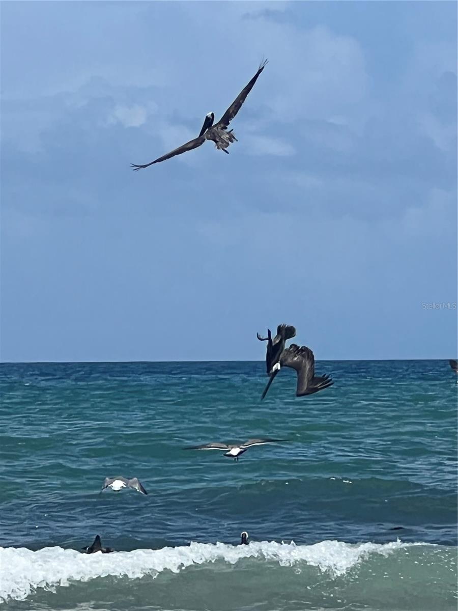 Image 48 of 51 For 59 Ocean Street