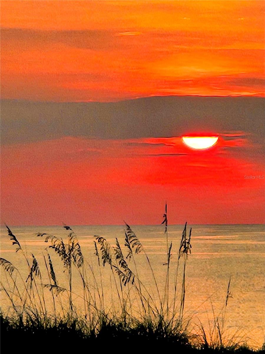 Image 50 of 51 For 59 Ocean Street