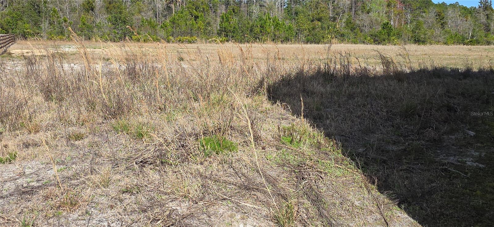 Image 50 of 59 For 110 Opossum Lane