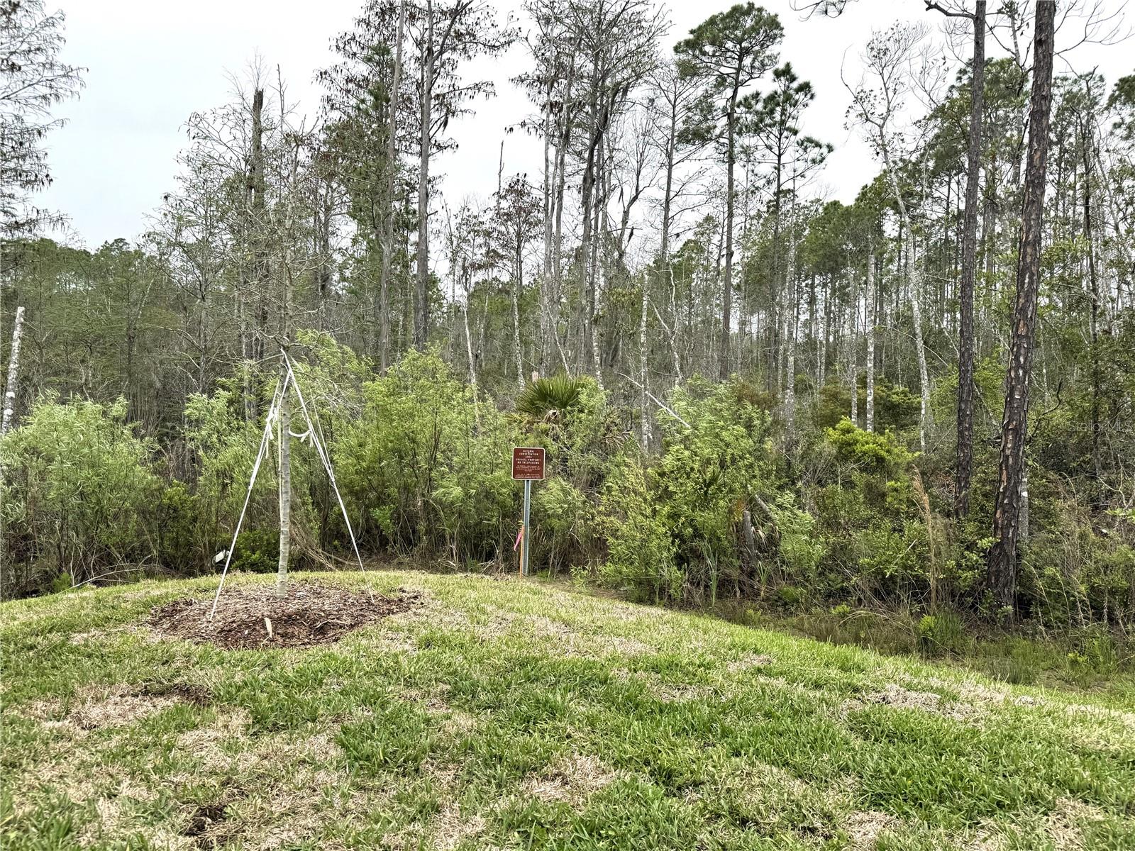 Image 35 of 42 For 6 Blue Grotto Place