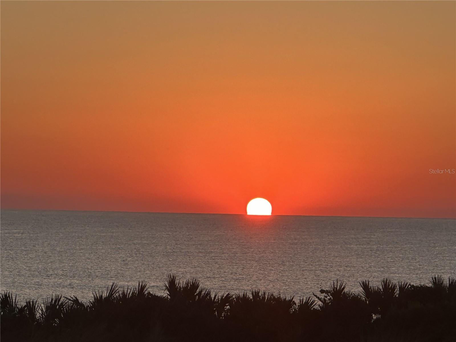 Image 37 of 67 For 11 Avenue De La Mer 1101