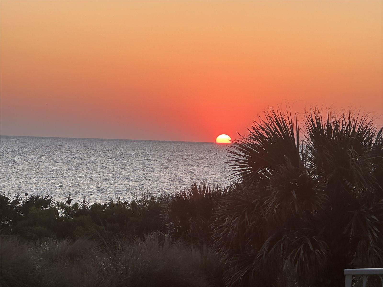 Image 38 of 67 For 11 Avenue De La Mer 1101