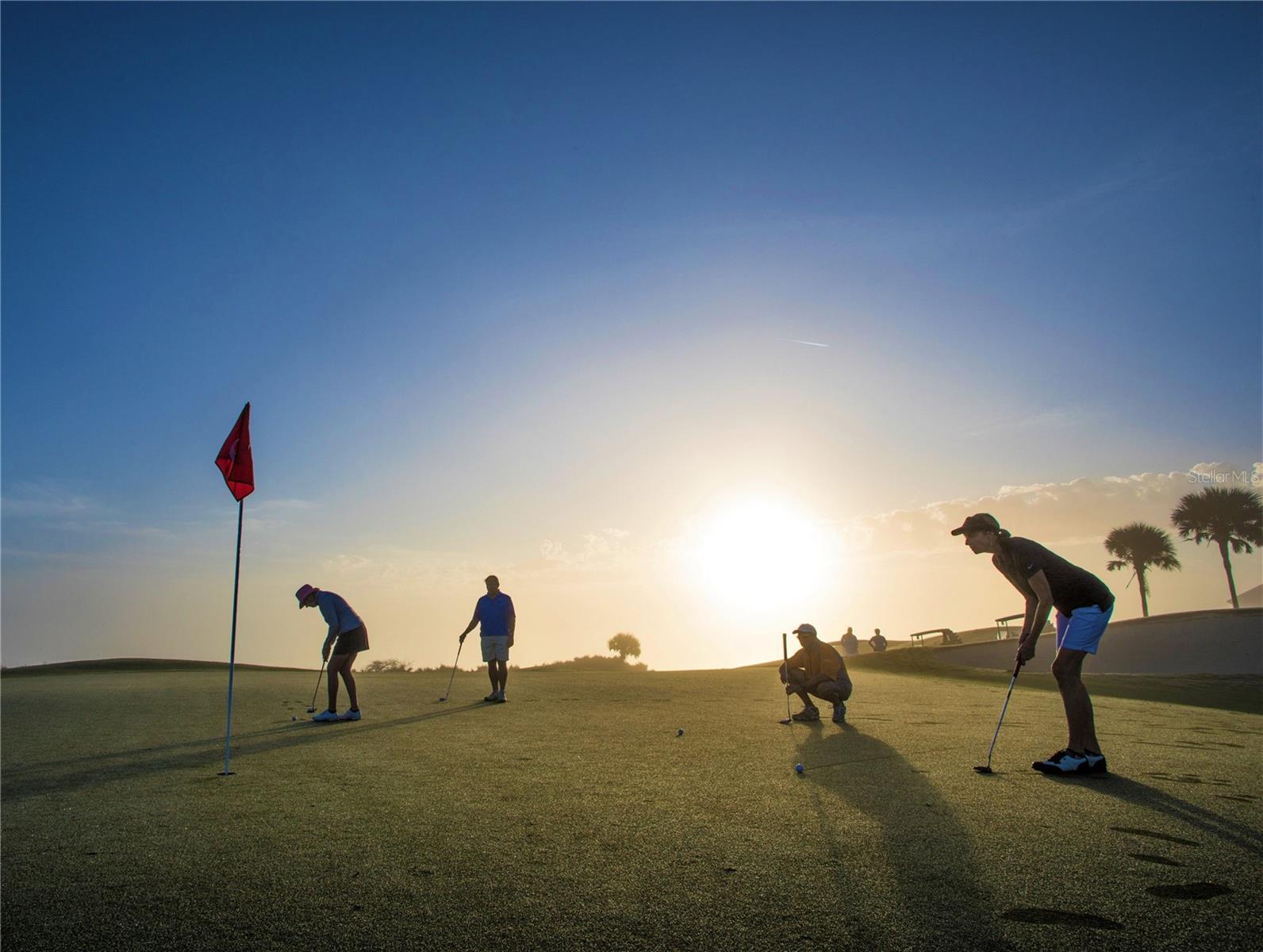 Image 51 of 67 For 11 Avenue De La Mer 1101