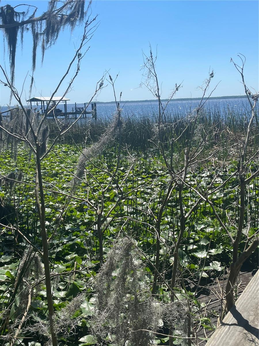 Image 3 of 4 For 6373 Jack Wright Island Road