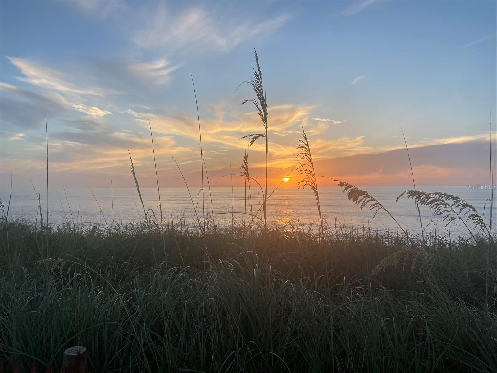 Image 30 of 56 For 1100 Canopy Walk Lane 1125