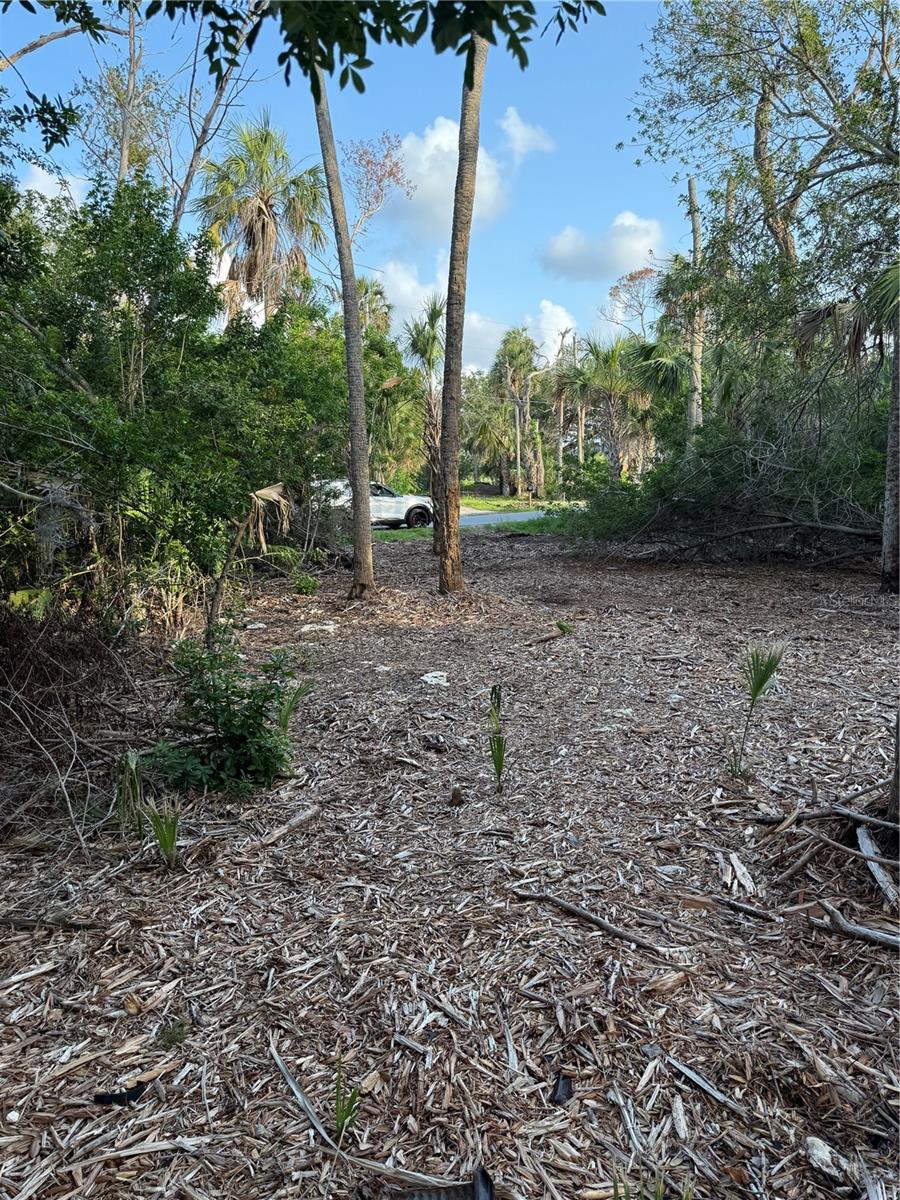 Listing photo id 2 for 1471 Estuary Drive