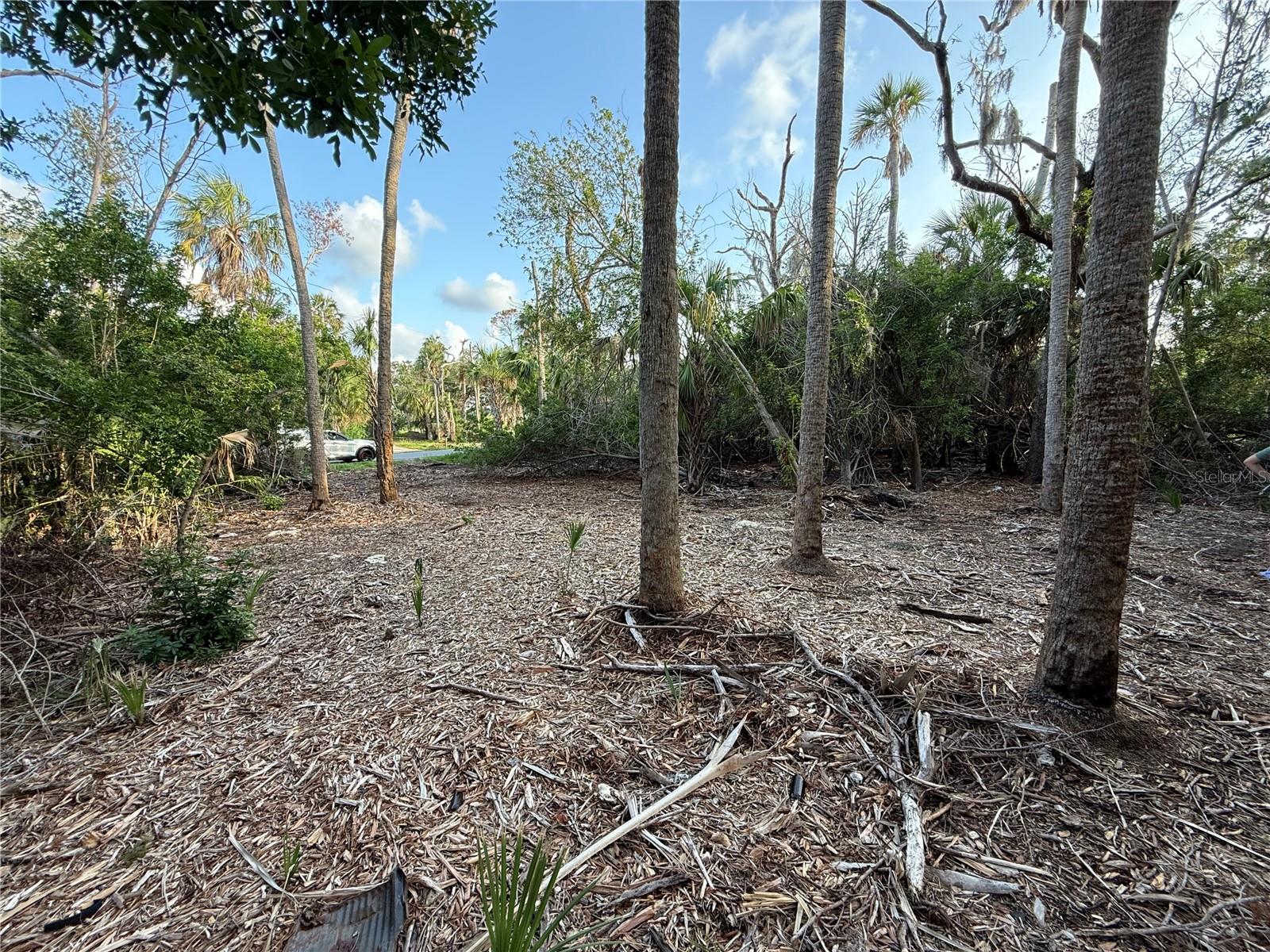 Listing photo id 3 for 1471 Estuary Drive