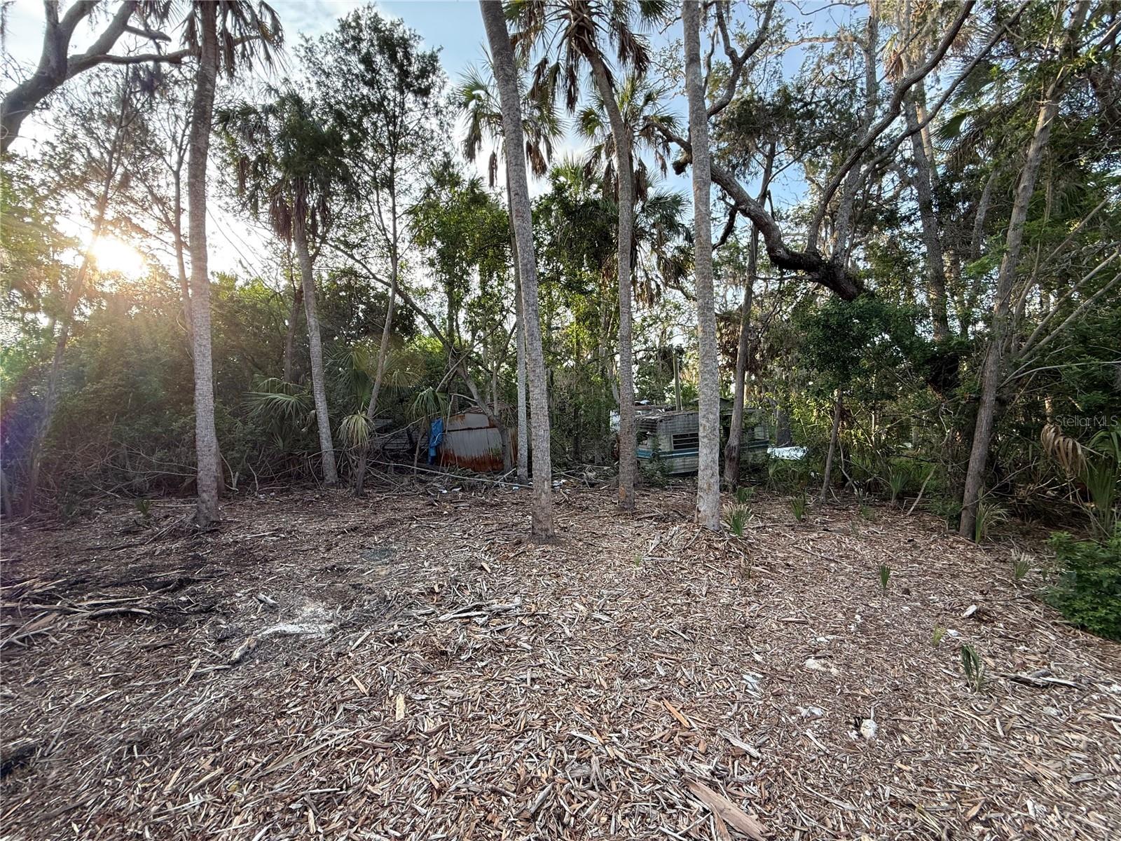 Listing photo id 4 for 1471 Estuary Drive