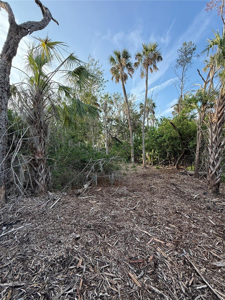 Listing photo id 5 for 1471 Estuary Drive