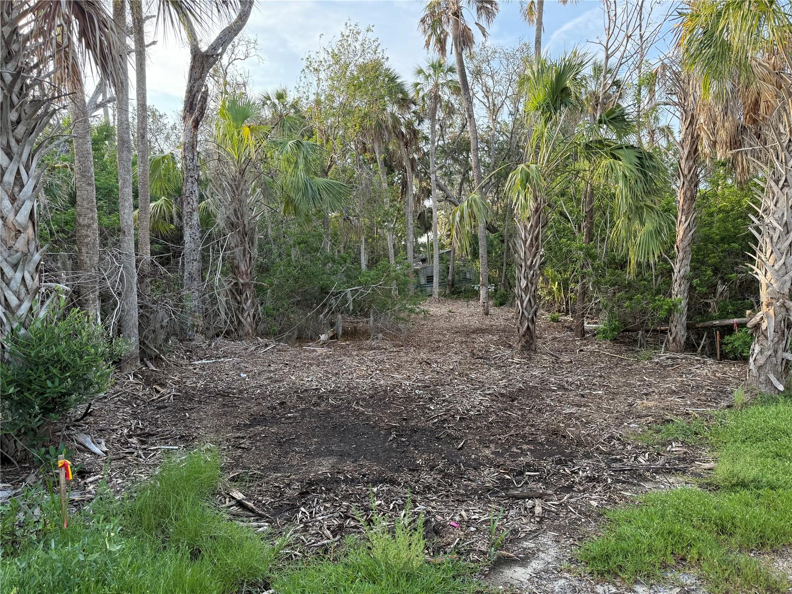 Listing photo id 6 for 1471 Estuary Drive