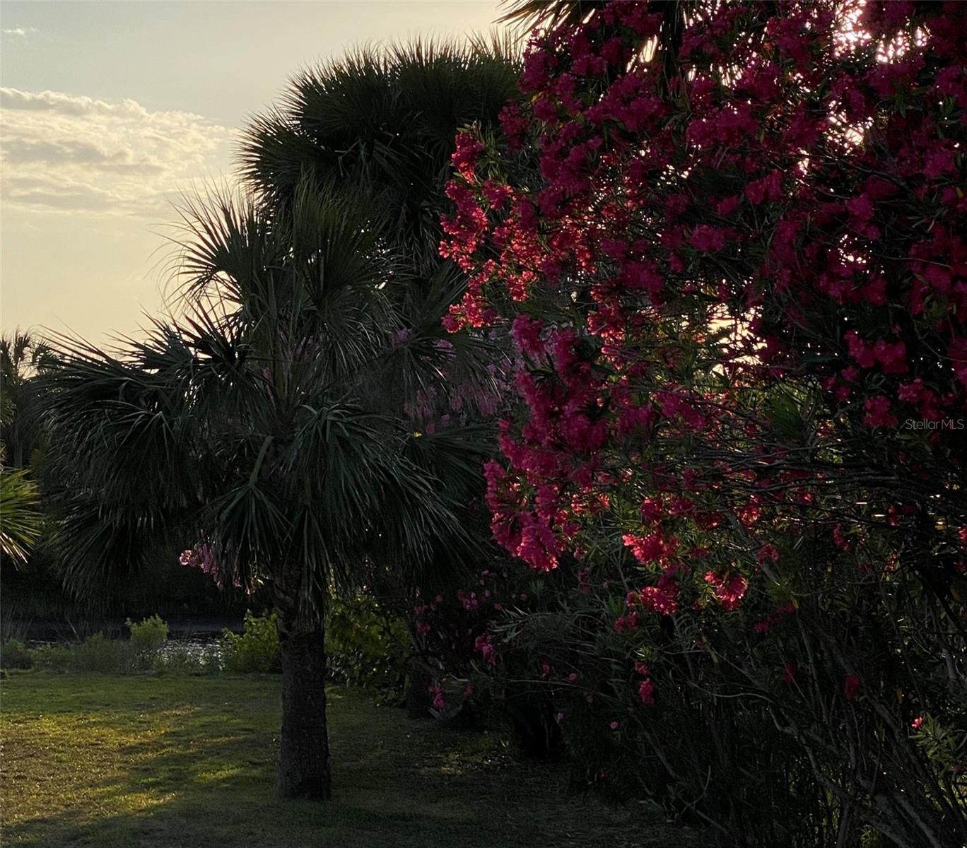 Image 44 of 48 For 3162 Ocean Shore Boulevard