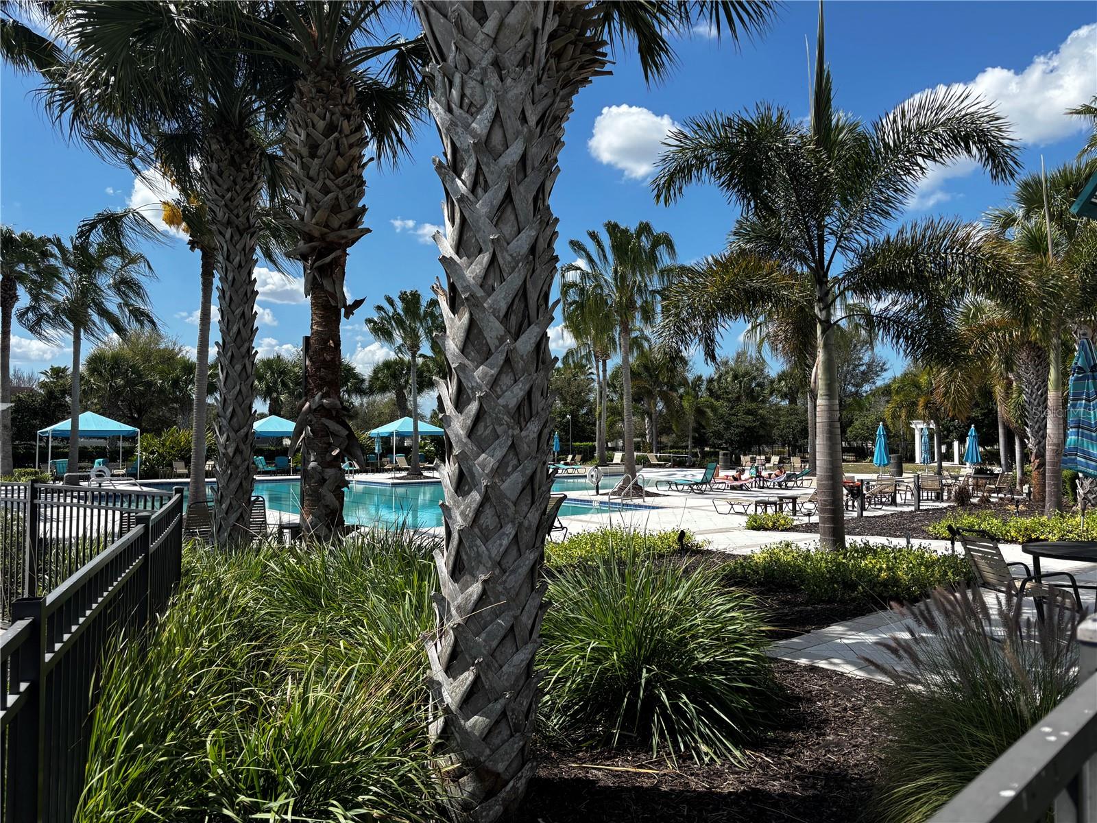 Image 24 of 31 For 12122 Blue Pacific Drive