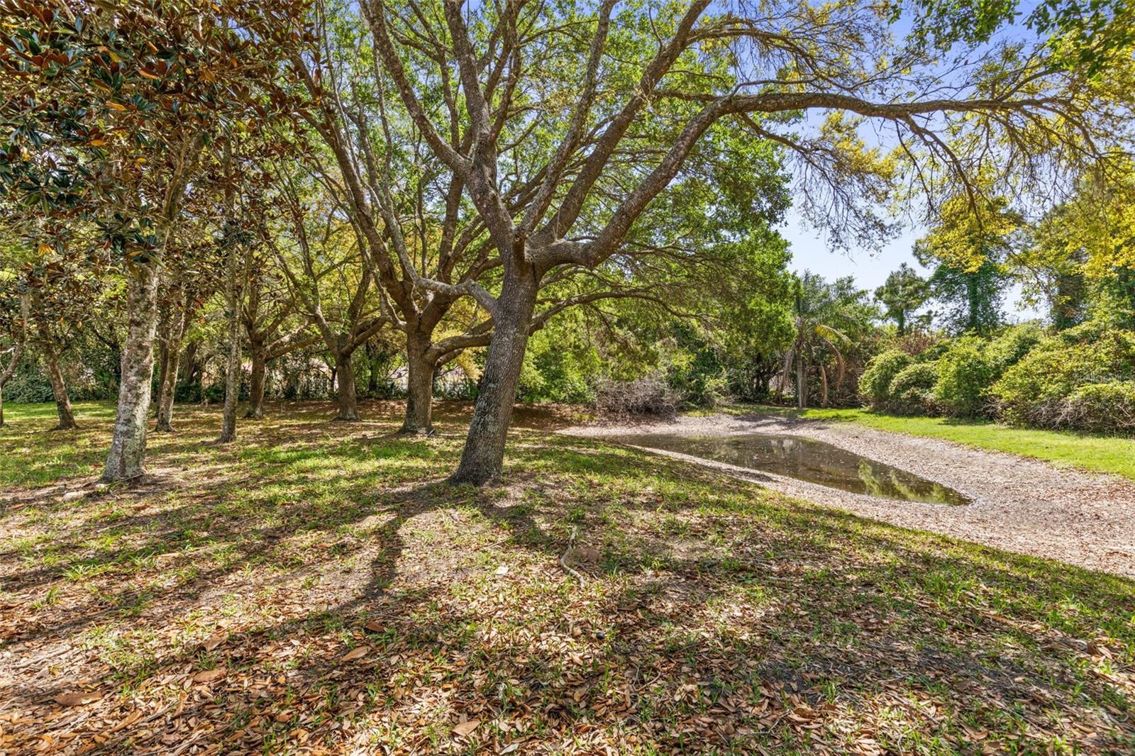 Image 43 of 96 For 3003 Glin Circle