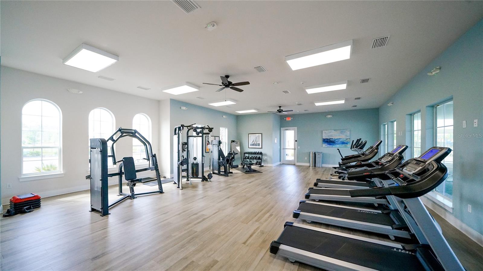 Image 57 of 58 For 46 Albacete Road