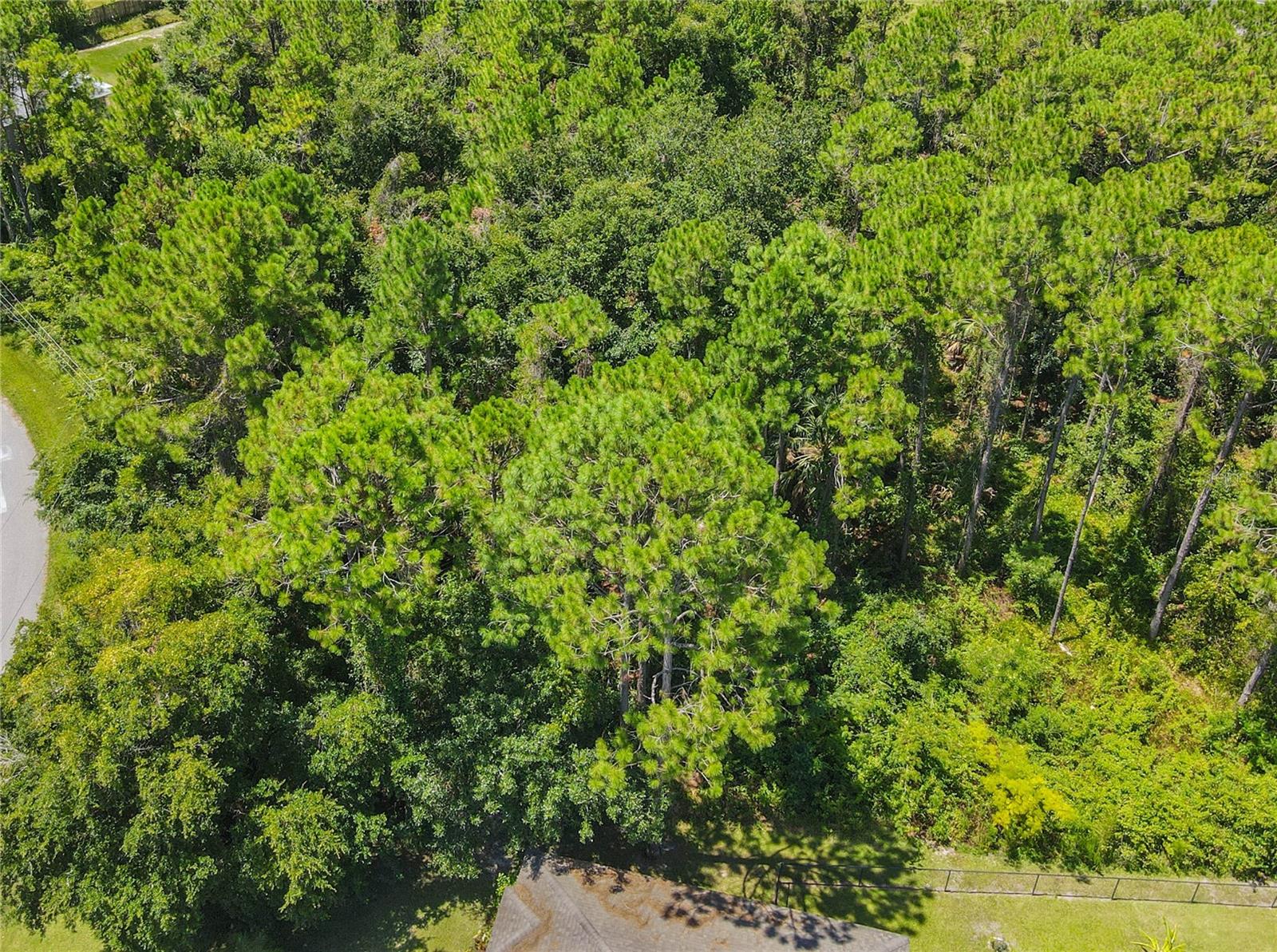 Image 10 of 47 For 47 Fanshawe Lane