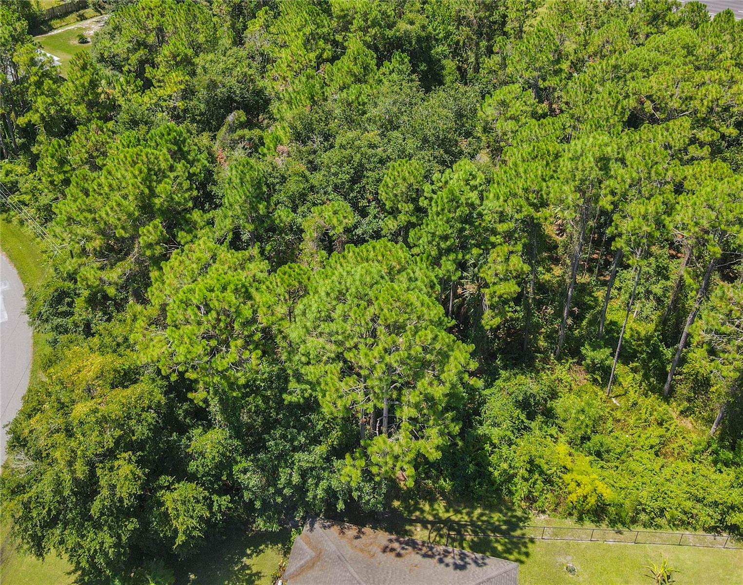 Image 11 of 47 For 47 Fanshawe Lane