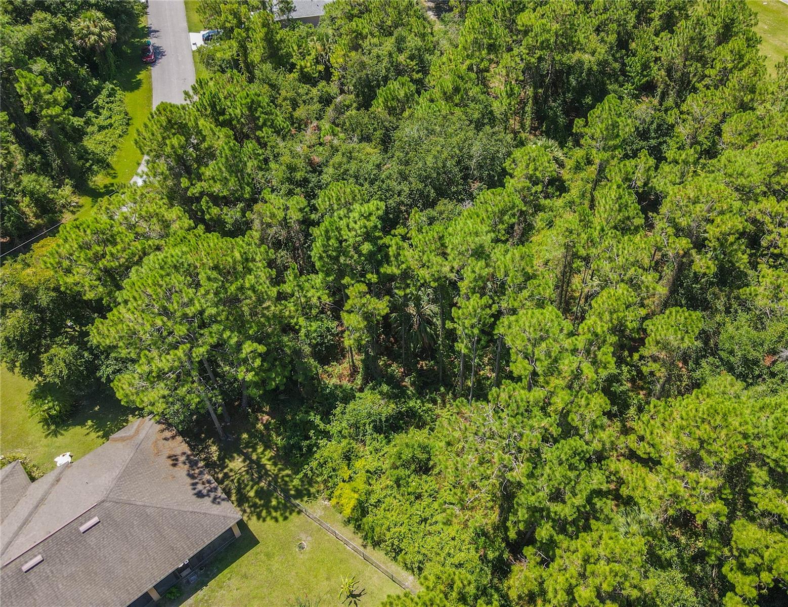 Image 12 of 47 For 47 Fanshawe Lane