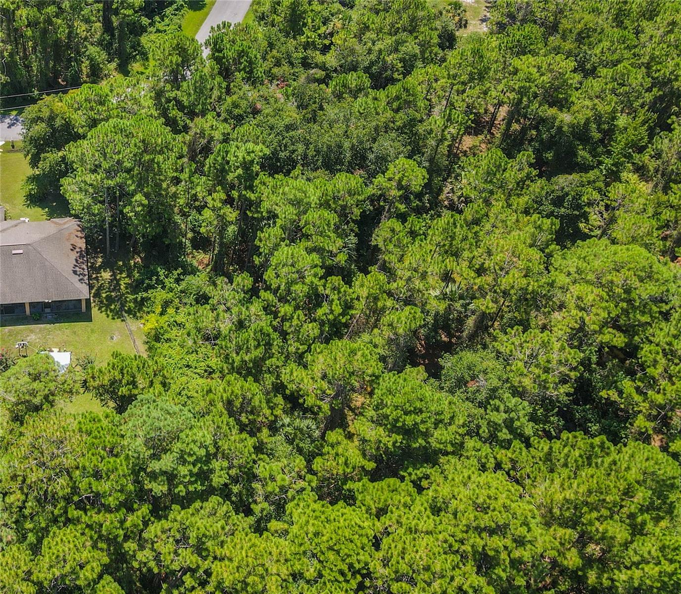 Image 14 of 47 For 47 Fanshawe Lane