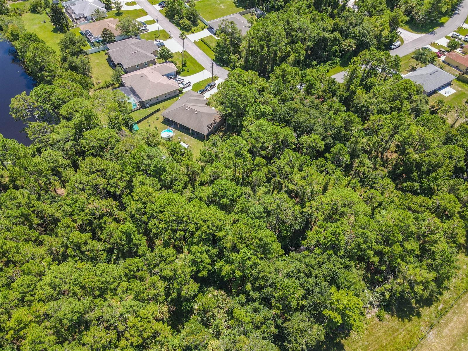 Image 18 of 47 For 47 Fanshawe Lane