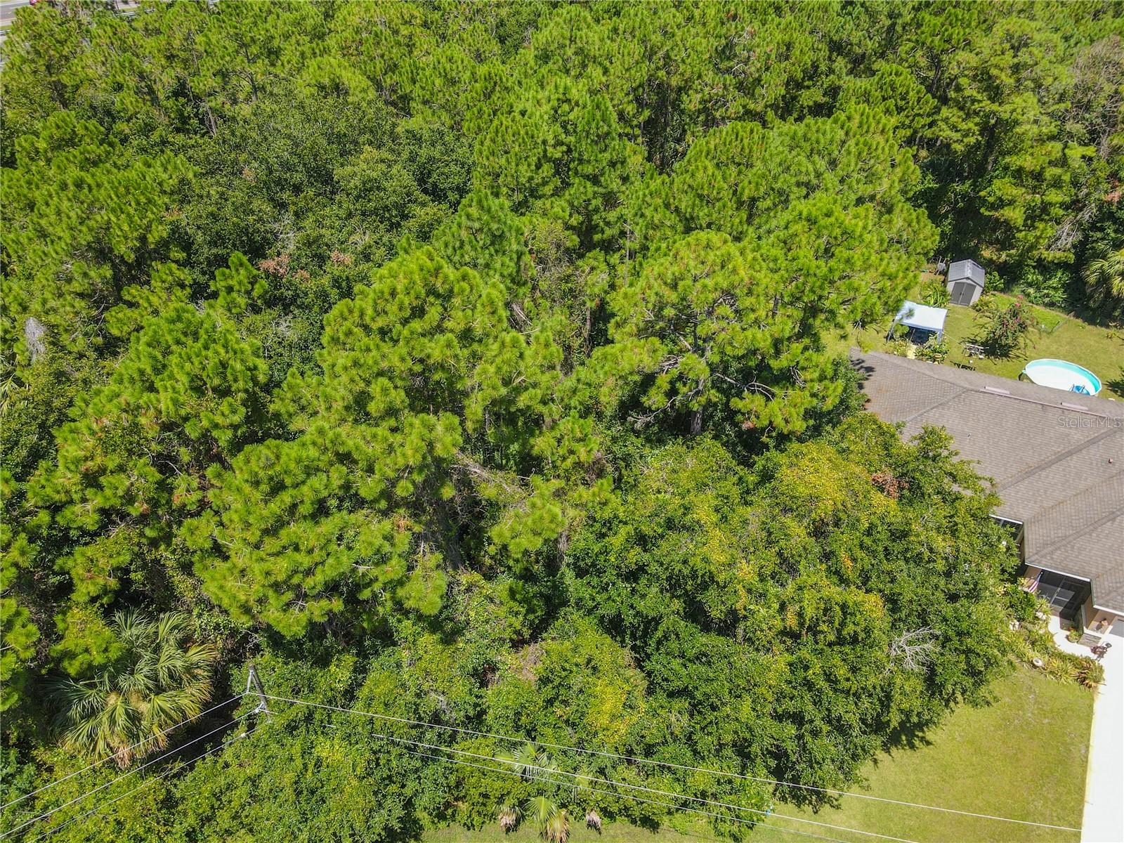 Image 2 of 47 For 47 Fanshawe Lane