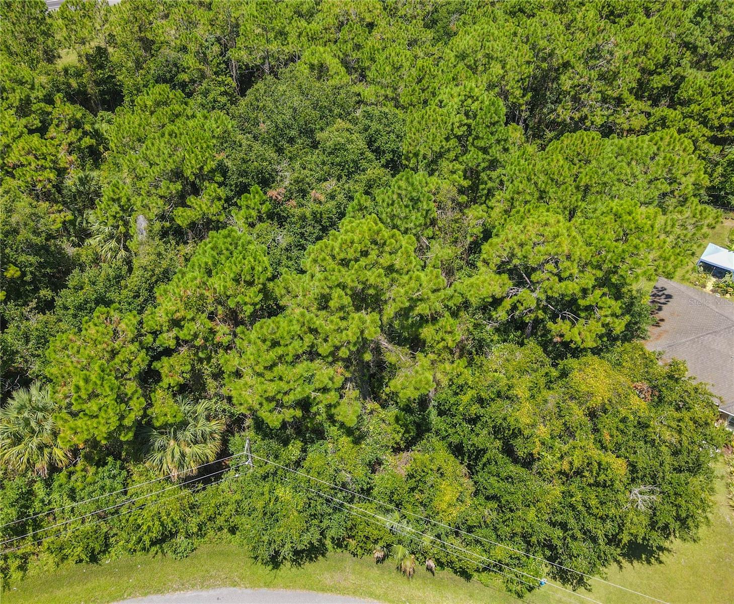 Image 4 of 47 For 47 Fanshawe Lane