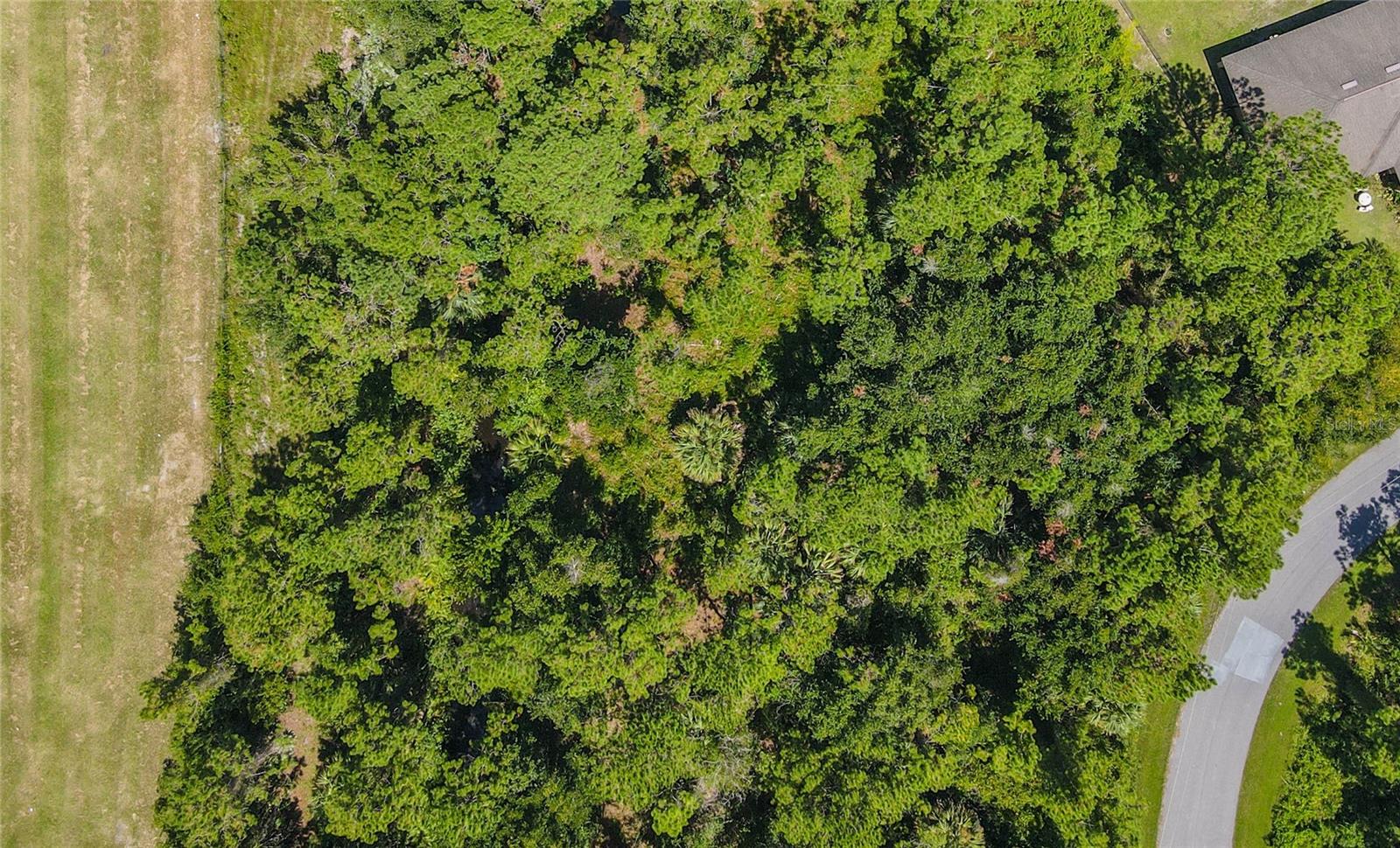 Image 44 of 47 For 47 Fanshawe Lane