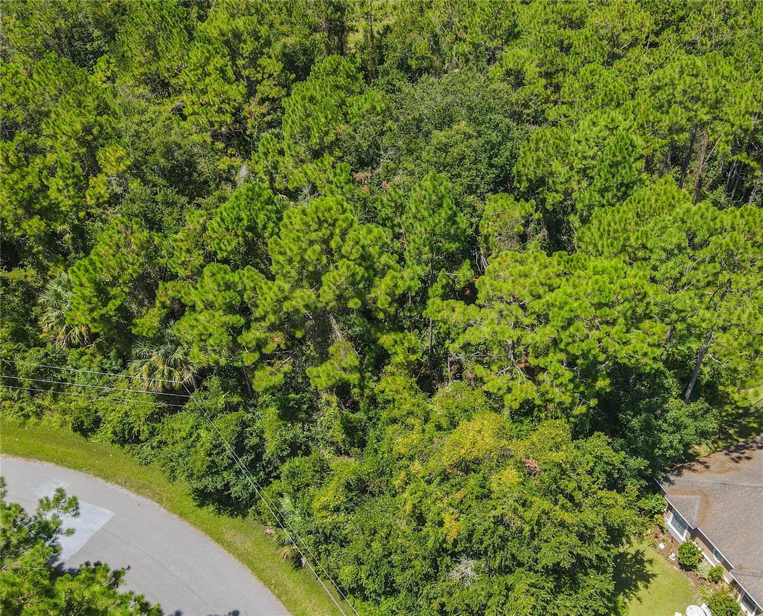 Image 5 of 47 For 47 Fanshawe Lane