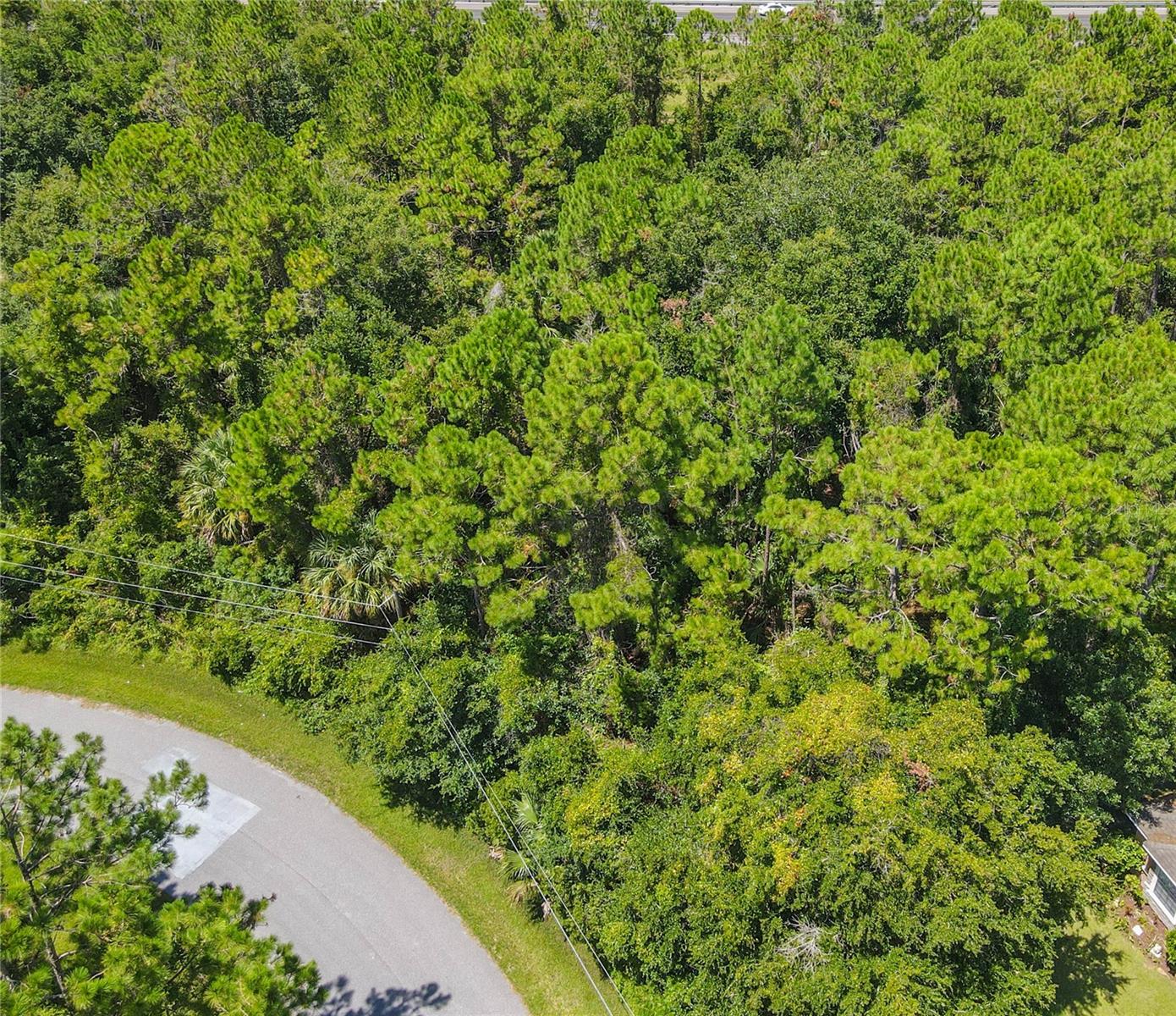 Image 6 of 47 For 47 Fanshawe Lane