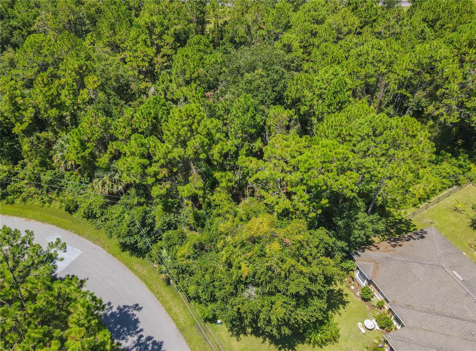 Image 7 of 47 For 47 Fanshawe Lane