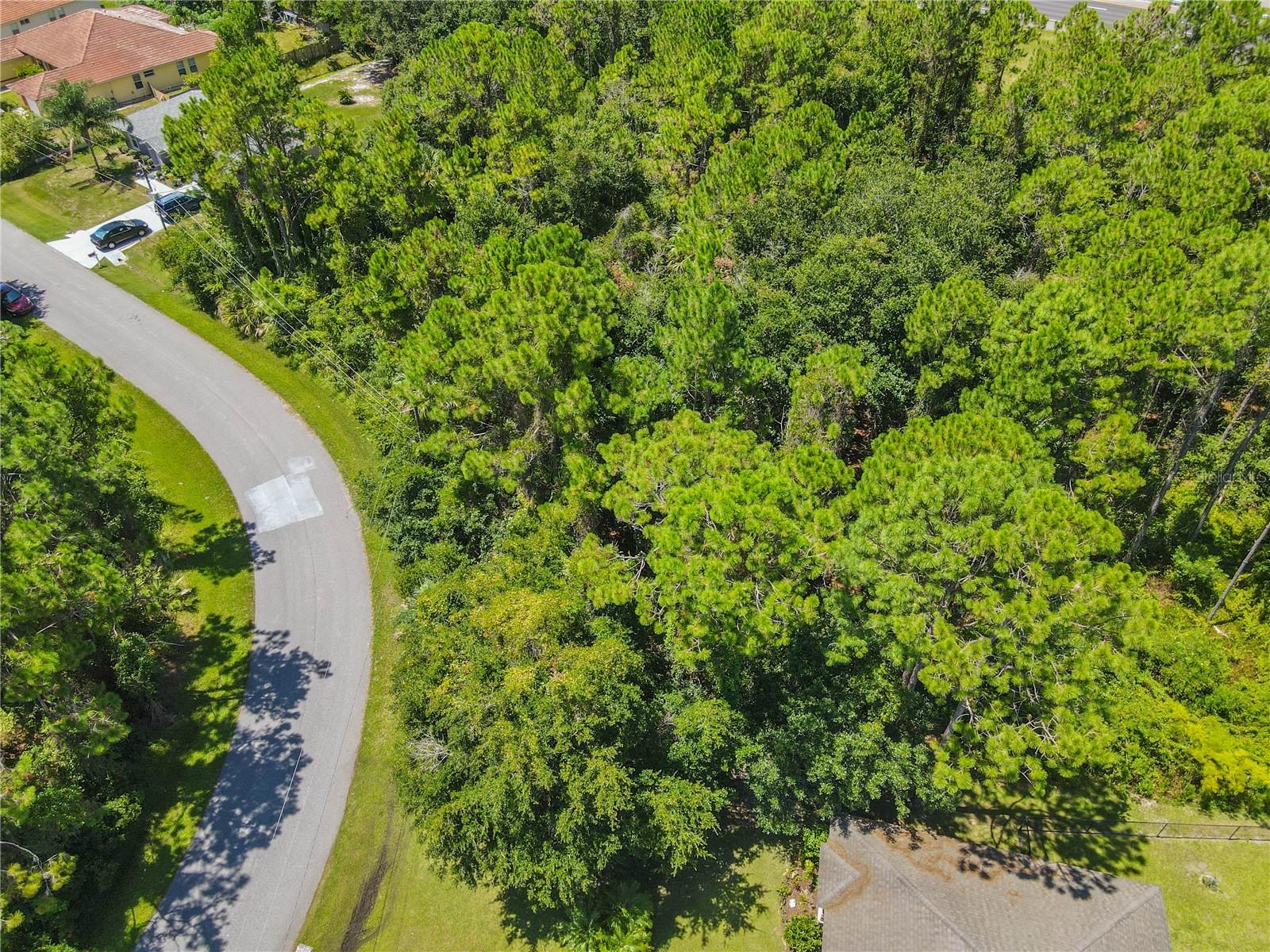 Image 8 of 47 For 47 Fanshawe Lane