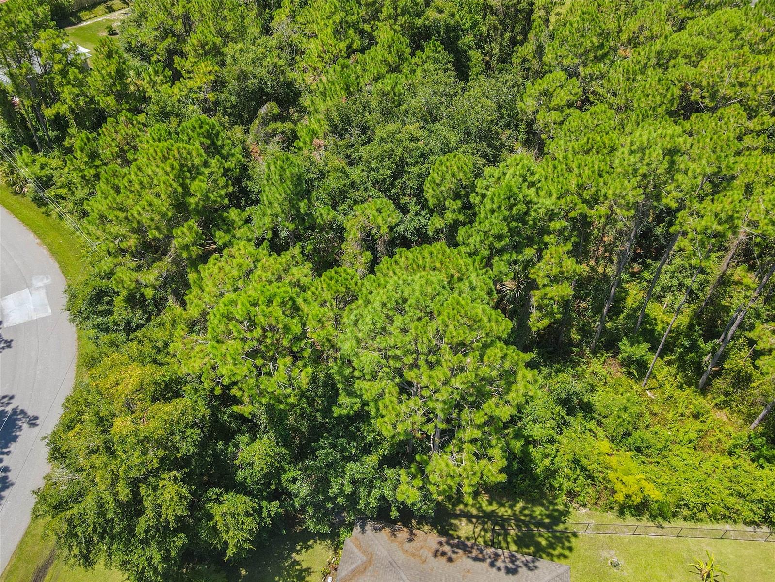 Image 9 of 47 For 47 Fanshawe Lane