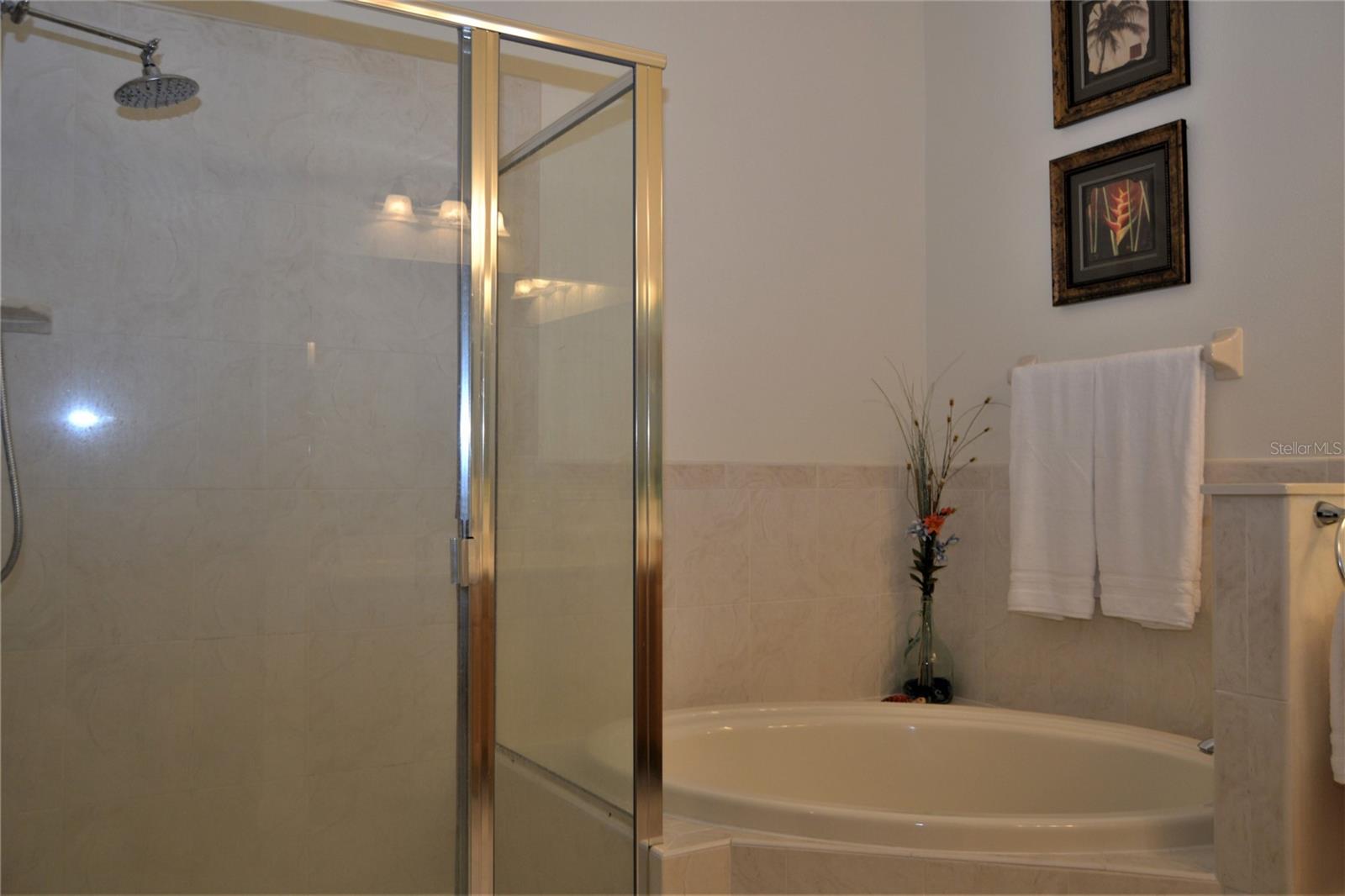 Image 16 of 40 For 800 Cinnamon Beach Way 742