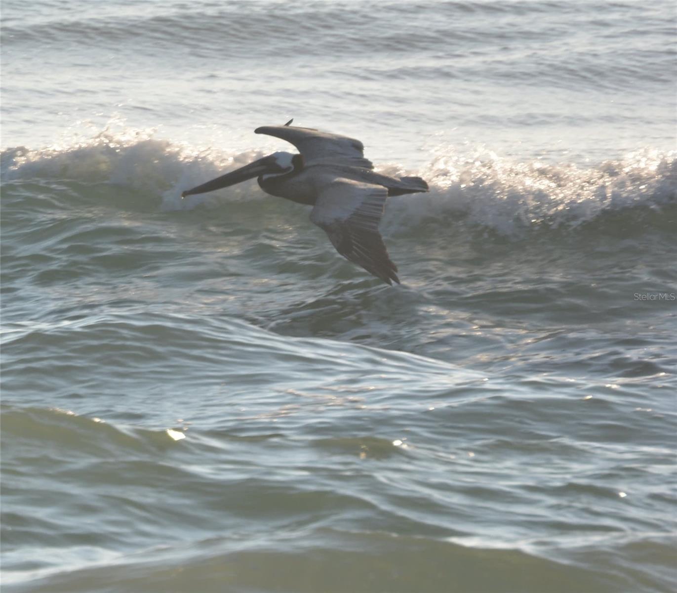 Image 40 of 40 For 800 Cinnamon Beach Way 742