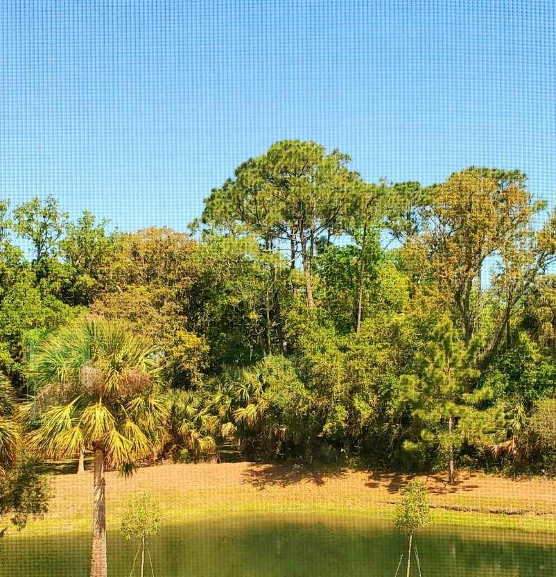 Image 17 of 27 For 179 Misty Harbor Trace