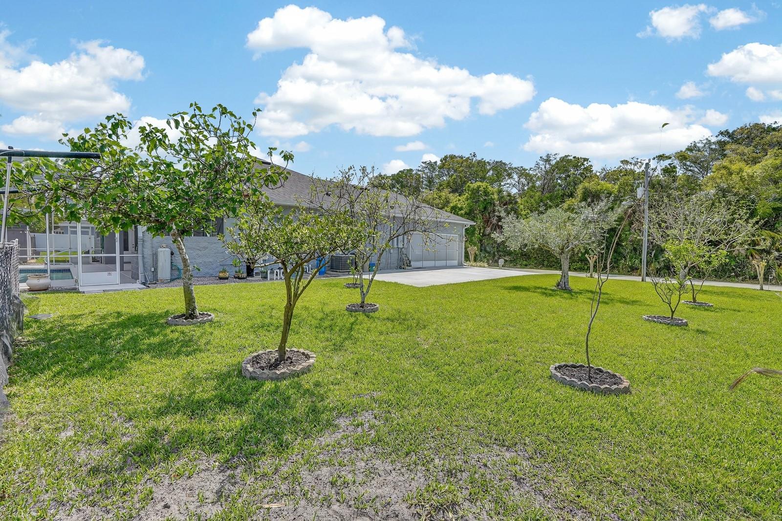 Image 38 of 43 For 50 Furness Place