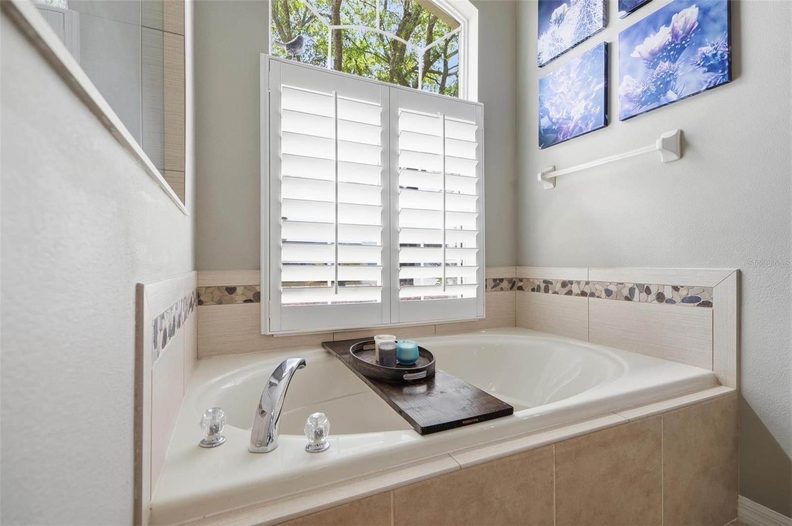 Image 46 of 96 For 21 Woodshire Lane