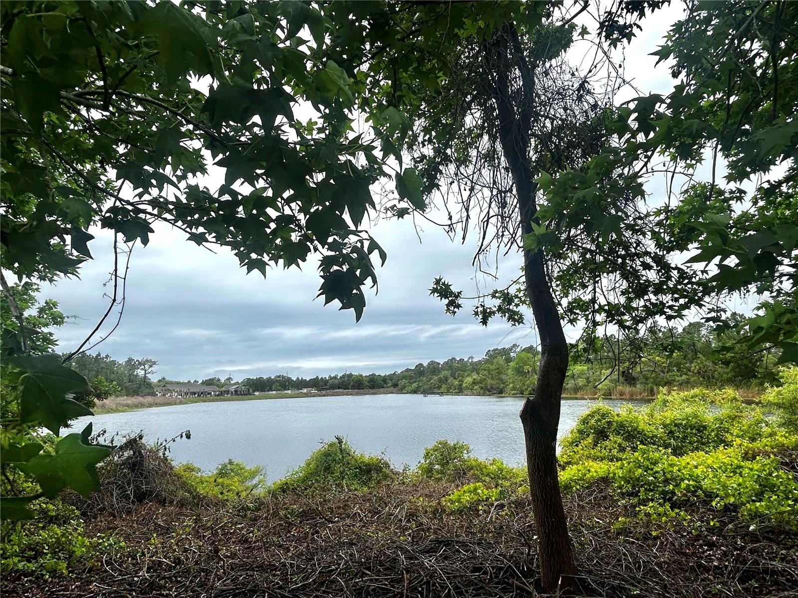 Image 11 of 12 For 30 Wood Cedar Dr