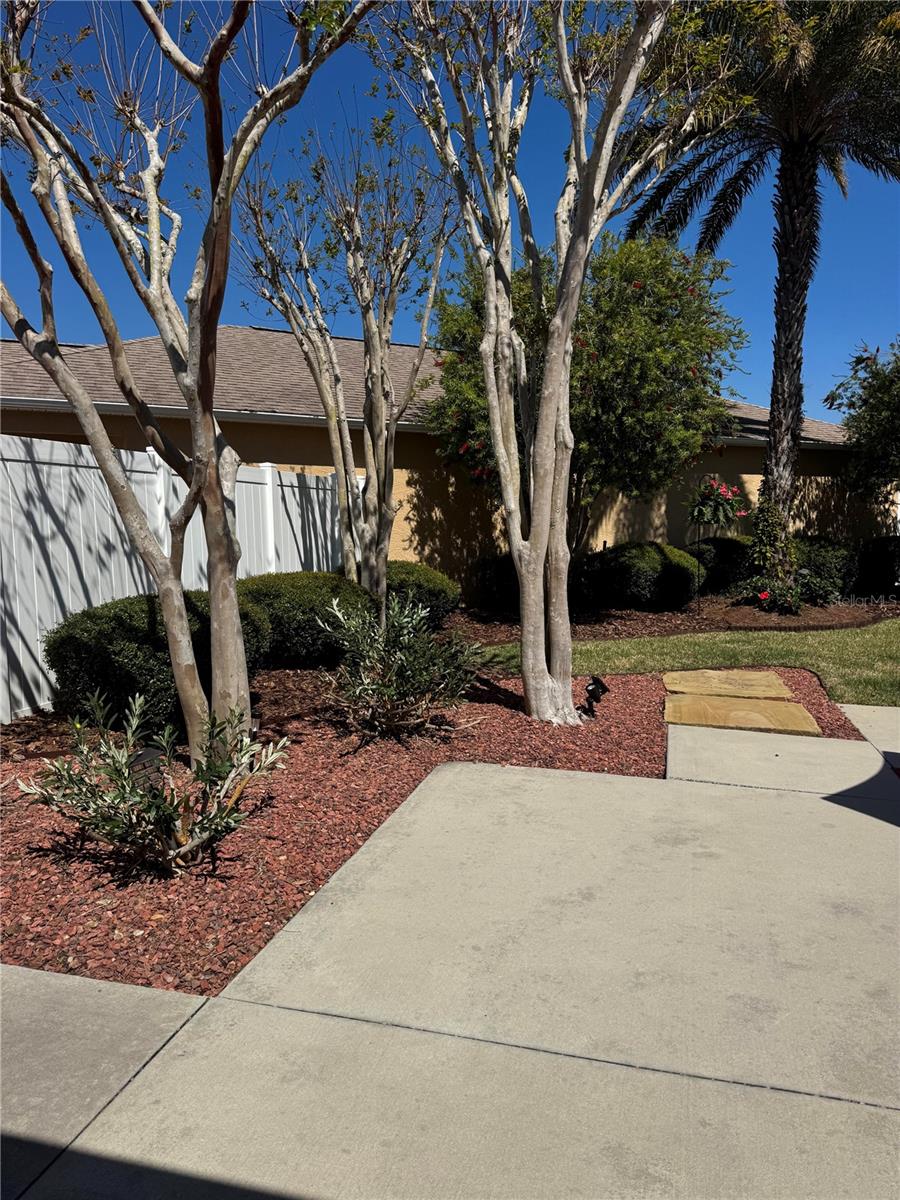 Image 21 of 22 For 1883 Loadstar Avenue