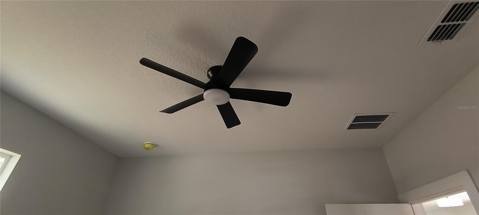 Image 30 of 34 For 98 Bruen Street