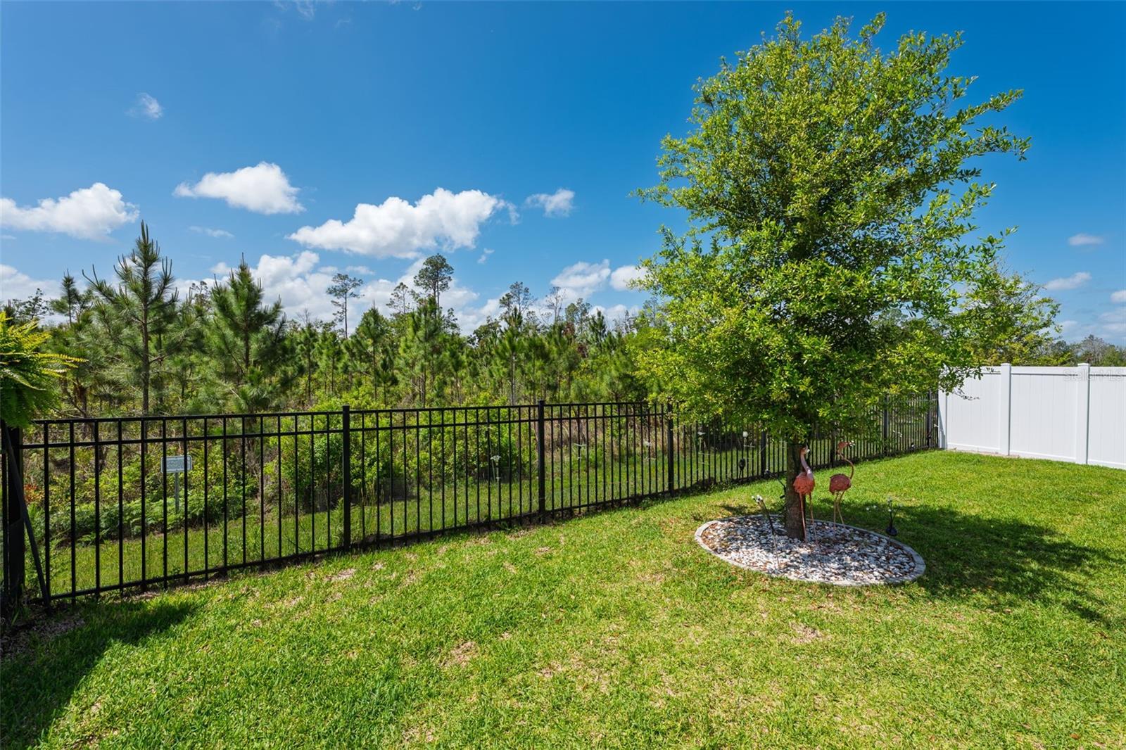 Image 40 of 54 For 121 Nighthawk Lane