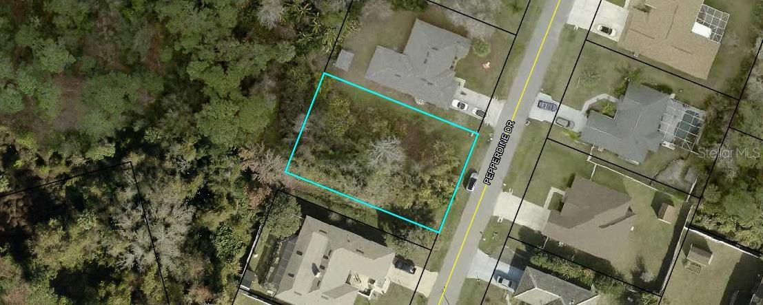 Image 4 of 6 For 33 Pepperdine Drive